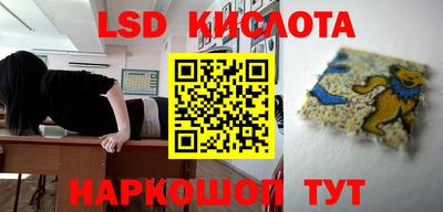 стафф Камышлов