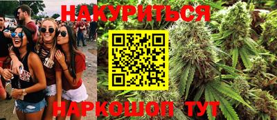 стафф Камышлов