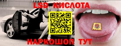 стафф Камышлов