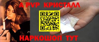 стафф Камышлов