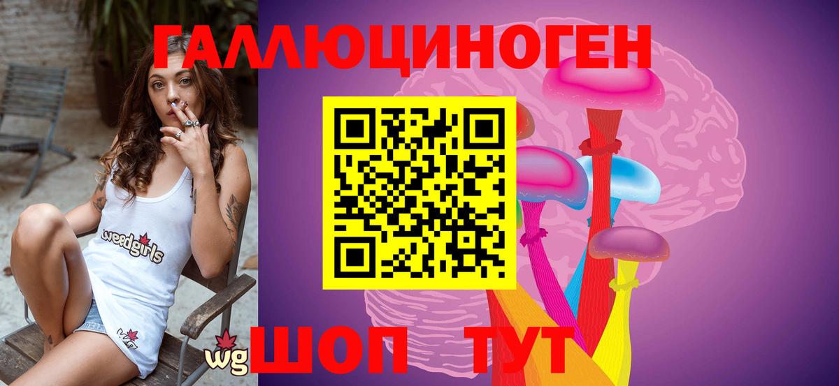 Псилоцибиновые грибы Magic Shrooms  Вход с VPN  Красноармейск  Псилоцибиновые грибы MAGIC MUSHROOMS 